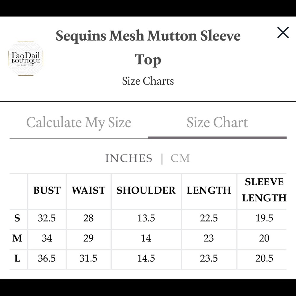 Sequins Mesh Mutton Sleeve Top - Picture 7 of 7